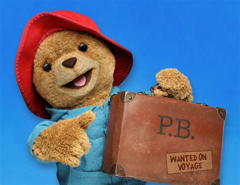 talk   adorable  paddington bear puppet