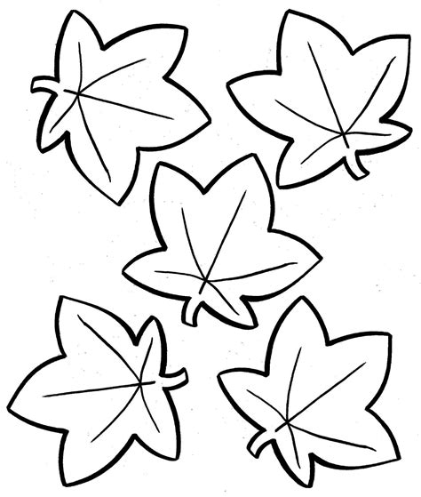 simple leaf drawing  getdrawings
