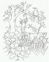 Coloring Eden Garden Clip Bible Clipart Colouring Library Drawings Popular sketch template