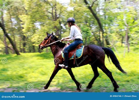 horse rider stock photo image  people jockey recreational