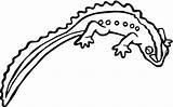 Salamander Coloring Pages Drawing Printable Template Supercoloring Spotted Color Getdrawings Newt sketch template