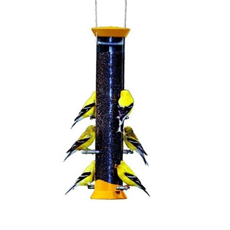 generation yellow finch flocker bird feeder size   yonoodle
