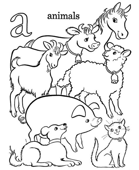 animals coloring pages   print