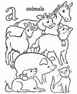Farm Animal Pages Color Coloring Printable Kids sketch template