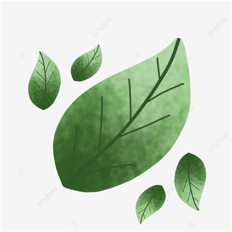feuille verte qui tombe png feuille tomber foret fichier png  psd