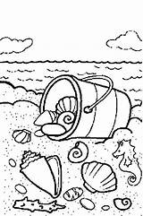 Zomer Zee Zand Schelpen Coloriage Brum Normaal Zandkasteel Sommer Schooling Kleuren Dieren Moeilijke Downloaden Bezoeken Bron Uitprinten sketch template