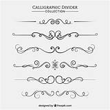 Dividers Vector Calligraphic Collection Style sketch template