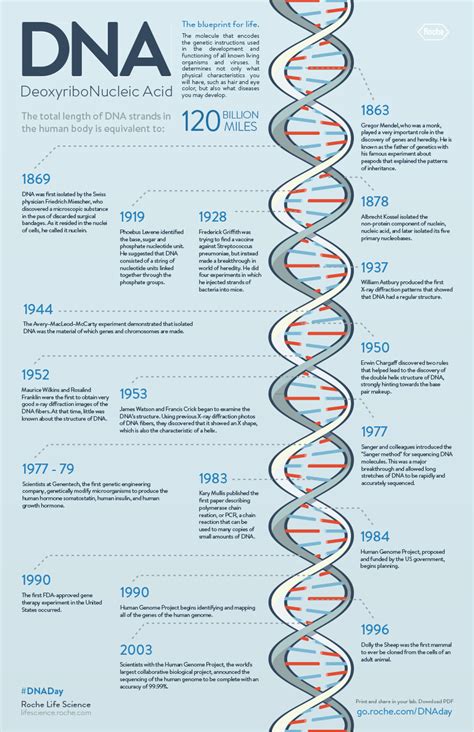 download the dna history timeline roche life science