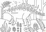 Kentrosaurus Stegozaur Huayangosaurus Kolorowanka Drukuj sketch template