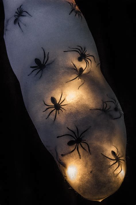 halloween spiders  stock photo public domain pictures