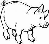 Pig Coloring Pages Kids Color Funny Animals Colouring Printable Pigs Farm Animal Print Book Creature Pot Craft sketch template