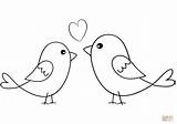 Uccellini Innamorati Stampare Disegnare sketch template