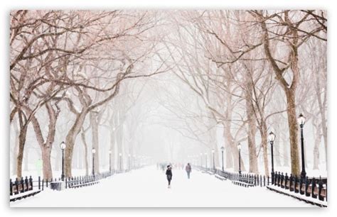 Winter Central Park New York City Ultra Hd Desktop