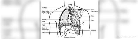 respiratory infection symptoms general center steadyhealthcom