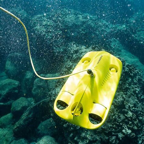 chasing gladius underwater drone   camera