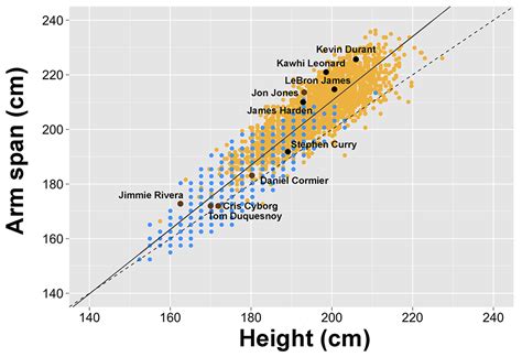 study shows wingspan   correlation  athletic prowess   nba mma research uc berkeley