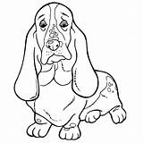 Kleurplaat Hondje Beagle Basset Honden sketch template