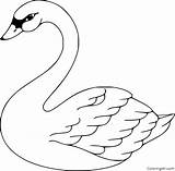 Swan Coloring Pages Printable Bird Drawing Stock Lake Vector Outline Colouring Illustration Color Template Patterns Google Easy Crafts Painting Clipartmag sketch template