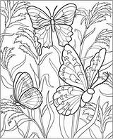 Coloring Pages Gardening Colouring Kids Print Vegetable Butterfly Sheets Printable Gardens Flower Book Vegetables Printablecolouringpages sketch template