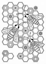 Zentangle Antistress Honeycombs Bees sketch template