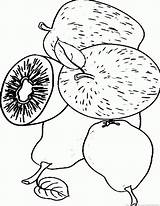 Fruit Kiwi Coloring Pages Part Zoom Print sketch template