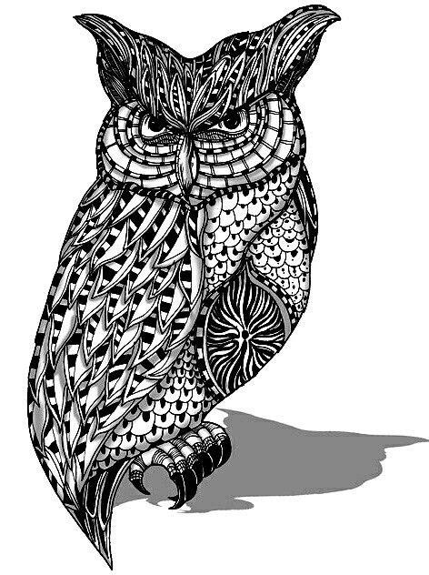 pin  owls birds zentangles colouring pages
