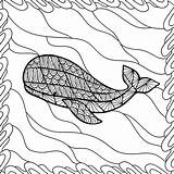 Kleuren Zentangl Walvis Volwassenen Grafisch Tekening Walvissen Overzees Grafische Hemel Vliegen sketch template