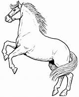 Horse Coloring Pages Printable Kids Print sketch template