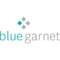 blue garnet linkedin
