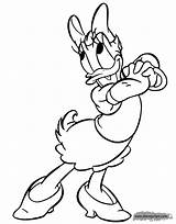 Daisy Duck Coloring Pages Disneyclips Romantic Funstuff sketch template