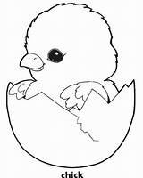 Chick Coloring Easter Baby Drawing Chicks Egg Pages Chicken Sheets Sheet Cute Para Bunny Print Kids Printable Colouring Adorable Ever sketch template