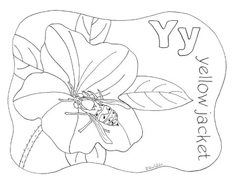 yellow jacket coloring page  getcoloringscom  printable