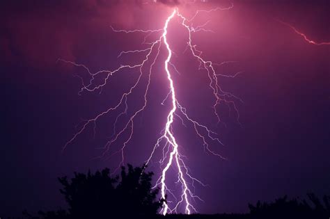 million man struck  lightning  times    happen nature world news