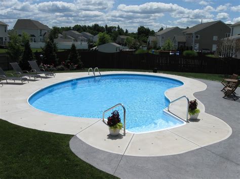 true kidney swimming pool building  pool  dream  ground pools