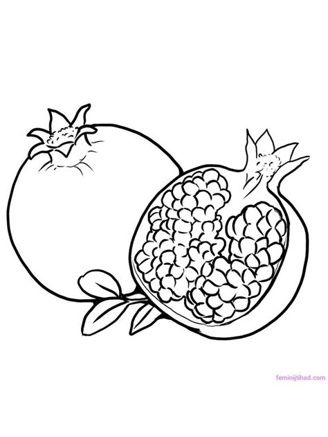pomegranate coloring image  doesnt  pomegranates  fruit