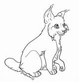 Lynx Coloring Linx Pages Lineart Use Animals Copy Printable Deviantart Kb Drawing Drawings sketch template