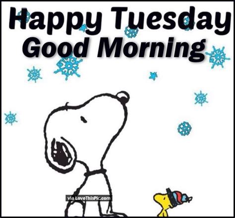snoopy happy tuesday good morning image pictures   images