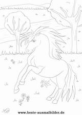 Pferd Malvorlage Pferde Ausmalen Wasser Ausmalbild Malvorlagen Ausdrucken Bunt sketch template
