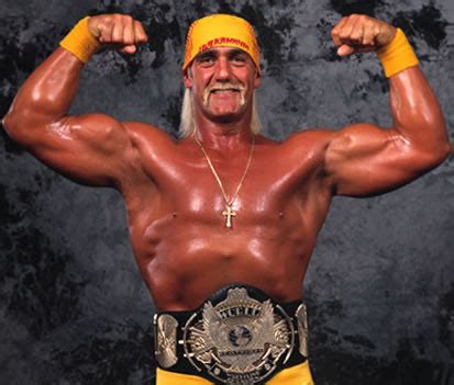 hulk hogan wrestling tv tropes