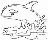 Coloring Whale Pages Orca Humpback Sperm Color Mammal Beluga Getcolorings Baby Printable Getdrawings Colorings sketch template