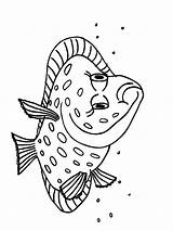 Flounder Coloring Pages Getcolorings Fish Printable sketch template