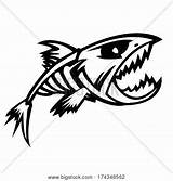 Fish Scary Skeleton Drawing Vector Cartoon Getdrawings Lightbox Create sketch template