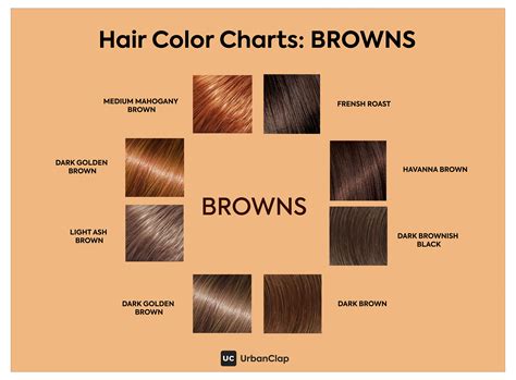 Cool Ash Brown Hair Color Chart Best Hairstyles In 2020 100