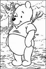 Winnie Pooh Coloring Forest Wecoloringpage Pages sketch template