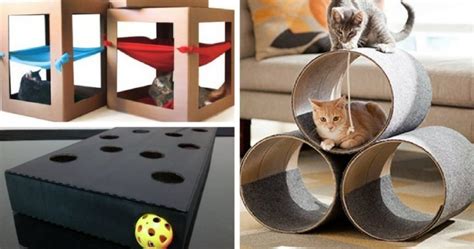 Feline Playful 5 Diy Cat Toys Your Kitty Will Love