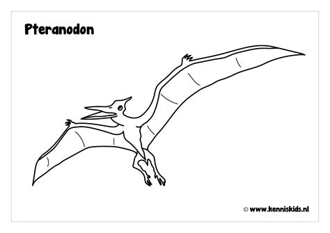 dino kleurplaten kennis kids