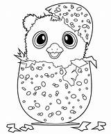 Hatchimals Hatchimal Kolorowanki Hamster Colleggtibles Dzieci Dla Tsgos Wydruku Bestcoloringpagesforkids sketch template