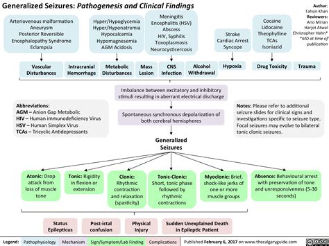 generalized seizures pathogenesis  clinical findings calgary guide