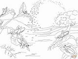 Plaga Langostas Plague Locusts sketch template