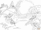Coloring Plague Pages Locusts Printable Frog Drawing Template Dot sketch template
